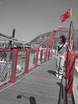 FY