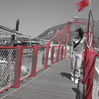 FY