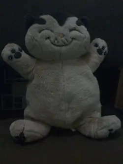 小貓貓1977