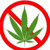 noleaf
