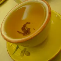 小白二世