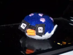 浣熊