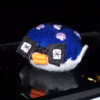 浣熊