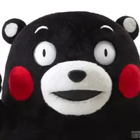 傑斯仔