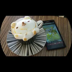 sweetcat_b