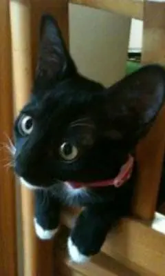 奇蹟