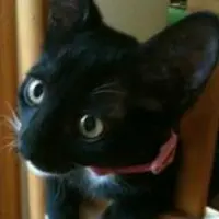 奇迹