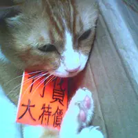 藍腳長老