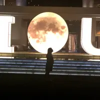 戀戀*
