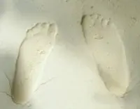 空姐o仔