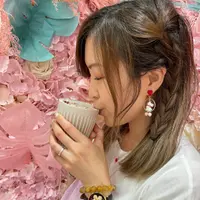 吉蒂為食貓