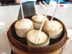 正一貪食蛇