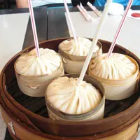 正一貪食蛇