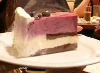 為食藍莓子