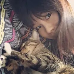 sashimimonster