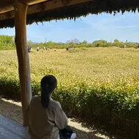 JOO氏妹