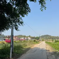 LingLingTse
