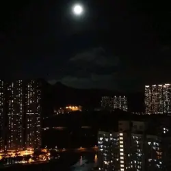 kammyho