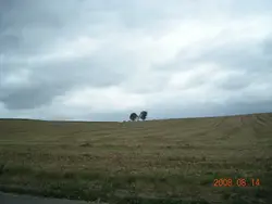 yimtsimyan
