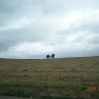 yimtsimyan