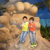 dkmlong