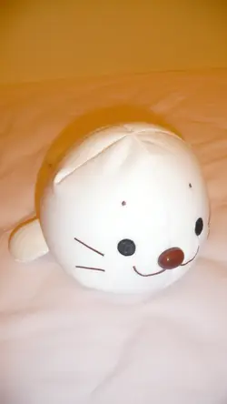 小白小白小小白