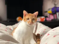 路~