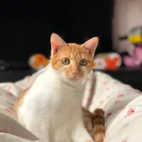 路~