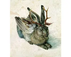 Dogbbit