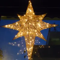 利筋