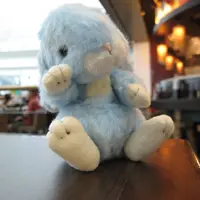 patpat24