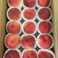 小天使gelgel