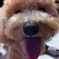 hellowae
