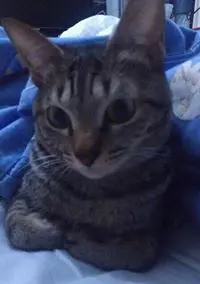 KACWY