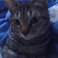 KACWY