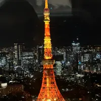 TINEHO