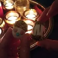 winniethebug