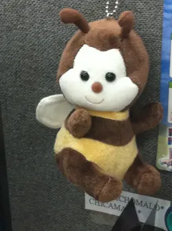 仃仃