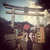 為食YoYo