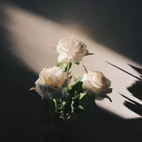 pobo89