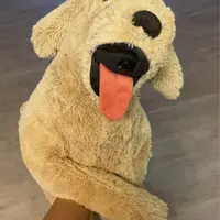 kaleeyt