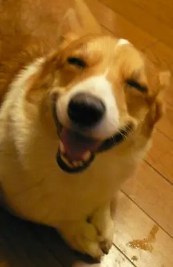 lattemaomao