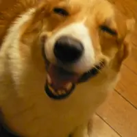 lattemaomao