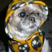 dordorbee