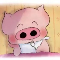 猪肉松松