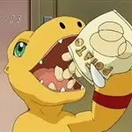 阮子