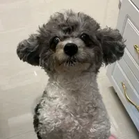 moonbaby