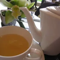 vpang