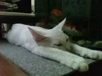 hhoeqmmvhou