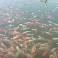 閑人閑事
